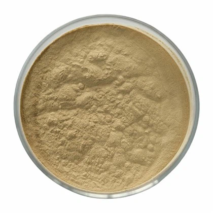 Dispersant SP-WG22
